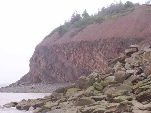 Joggins Fossil Cliffs