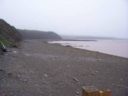 Joggins Fossil Cliffs