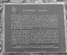 Vue générale de la Bataille de Beaver Dams, qui montre la plaque, 1989.; Parks Canada Agency / Agence Parcs Canada, 1989.