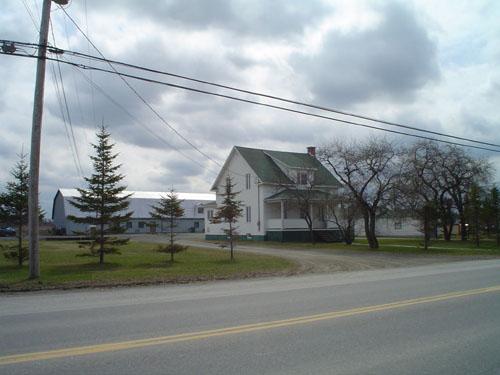 The dairy farm on Canada Street