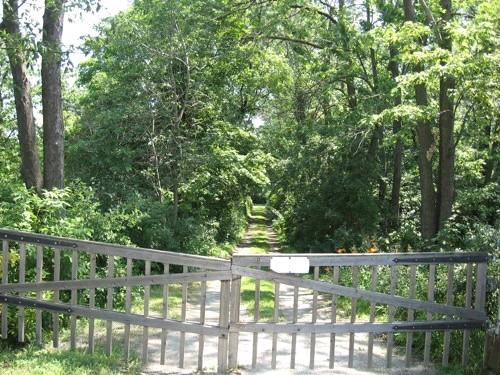 Driveway, Copeland House, 2008