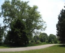 Of note are JC Saddington Park's pathways.; Beatrice Tam, 2008.