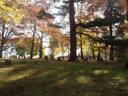 Landscape, Bronte Cemetery, 2008