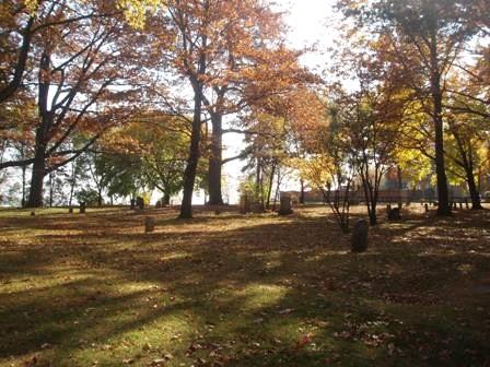 Landscape, Bronte Cemetery, 2008