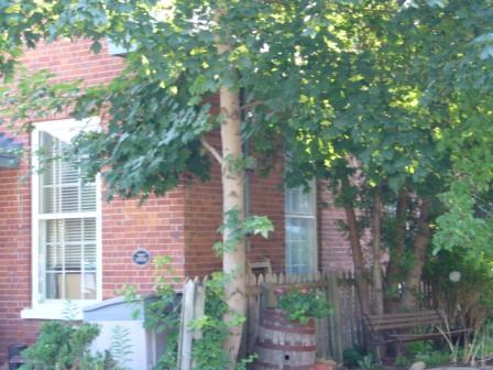 Facade, South Elevation, Glen Williams Town Hall