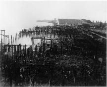 View of the Scottish Canadian Cannery with pilings in mid and foreground, Steveston, date uncertain; Richmond Archives photo no. 1977 1 242