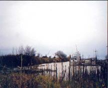 View of Scotch Pond in Steveston, Richmond, BC, 2001; Denise Cook Design 2004