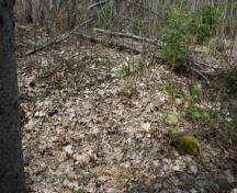 Showing overgrown grounds and moss on stone; Province of PEI, Donna Collings, 2009