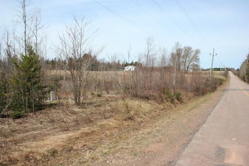 Showing location of grave near the highway
