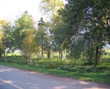 Showing cemetery amid trees near roadway; Province of PEI, Donna Collings, 2009