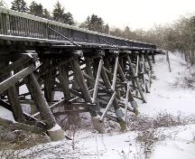 View of the Mill Creek Trestle Bridge looking west across the Mill Creek Ravine (January 2005); City of Edmonton, 2005