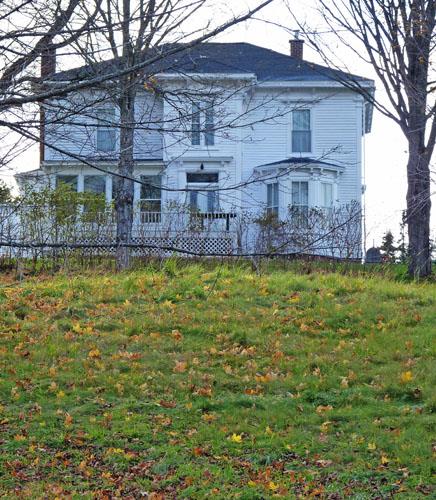 Taylor Estate - Looking east