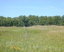 View northwest toward cellars hidden in tall grass, and commemorative cairn at edge of tree line.; Government of Saskatchewan, Marvin Thomas, 2004.