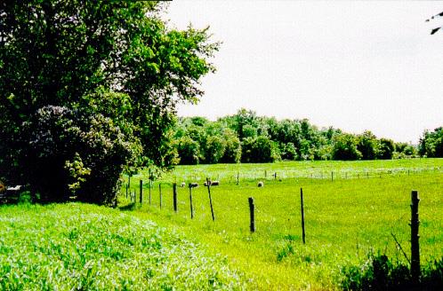 Paysage