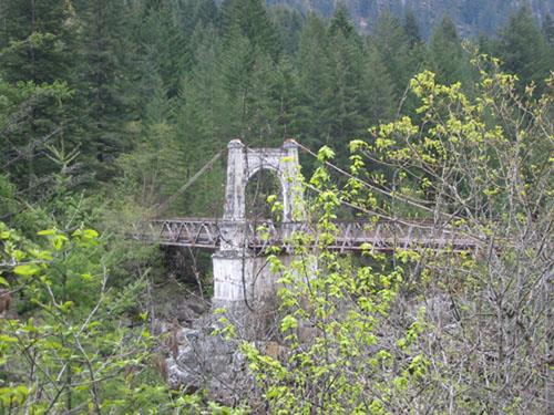 view through trees showing abutments