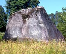 Vue générale du Lieu historique national du Canada Xa:ytem / Hatzic Rock montrant l'emplacement du rocher de transformation dans une zone dégagée où l'on peut le voir de divers points d'observation, 2002.; Parks Canada Agency/Agence Parks Canada, B. Townsend, H.10.16.06.03(01), 2002.