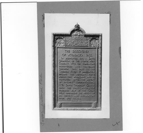 Plaque
