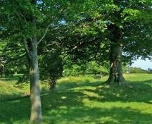 General view of the Southwold Earthworks, showing the earthworks, which form a double ring of low earthen mounds that surround the site, 2004.; Parks Canada Agency/Agence Parcs Canada, 2004.