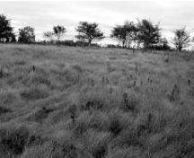 General view of the Melanson Settlement National Historic Site of Canada, showing the historic view planes of surrounding agricultural field systems, 2001.; Agence Parcs Canada / Parks Canada Agency, S. Quon, 2001.