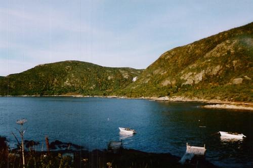 Martinique Bay, Conche, NL
