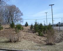 Une partie des Concessions de terre à des loyalistes noirs; Grand Bay-Westfield