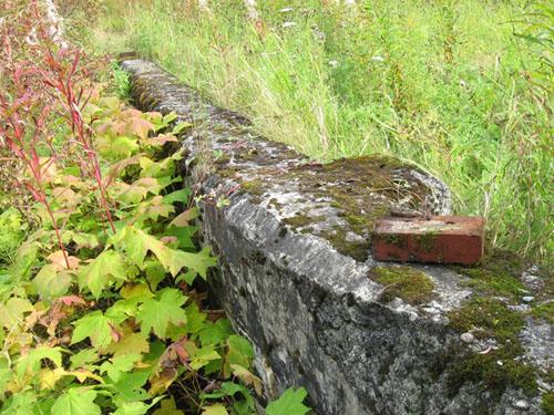 Foundation of the GTP Roundhouse at Pacific, 2011