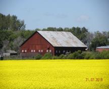 Southeast view of the barn, Armstrong Farm Site, Rossburn area, 2017.; Historic Resources Branch, Manitoba Sport, Culture and Heritage, 2017