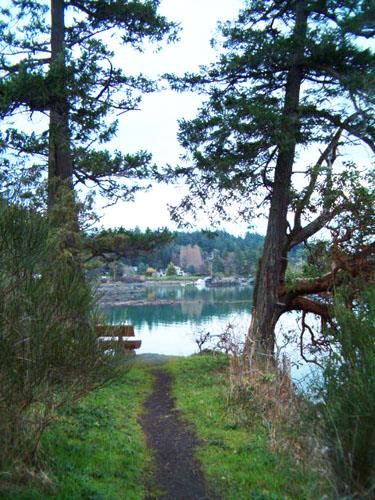 Nymph Point Park, showing ocean view, path and bench