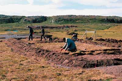 View of excavations.
