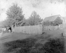 View of the Sugar Maple Trees circa 1925; Maple Ridge Museum and Archives, P01937