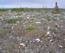 General view of Sea Horse Gully Remains, showing excavations associated with Dorset House No. 1, 1968.; Dr. David Meyer, 1968.