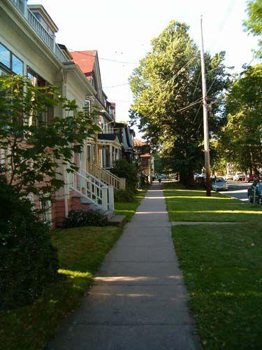 Looking North