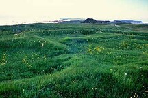 General view of the remains of Norse building at L'Anse aux Meadows emphasizing the layout of the site as three grouped complexes of eight separate building remains, associated structures and middens, 2003.; Parks Canada Agency / Agence Parcs Canada, D. Wilson, 2003.