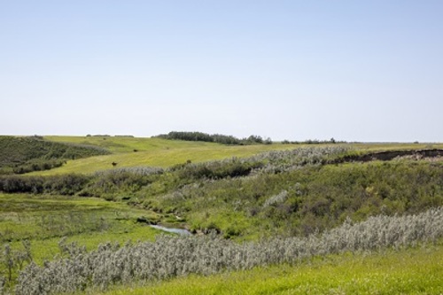 General view