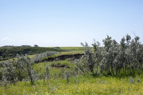 General view
