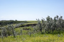 View of the Battle of Tourond's Coulee / Fish Creek National Historic Site of Canada.; Parks Canada | Parcs Canada