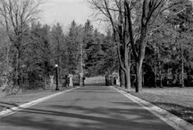 General view of the Rideau Hall secondary gates and fences, showing the decorative cast-and wrought-iron work, 1986.; Public Works and Government Services Canada / Travaux publics et Services gouvernementaux Canada, 1986.